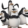 Die Pinguine