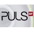 Puls